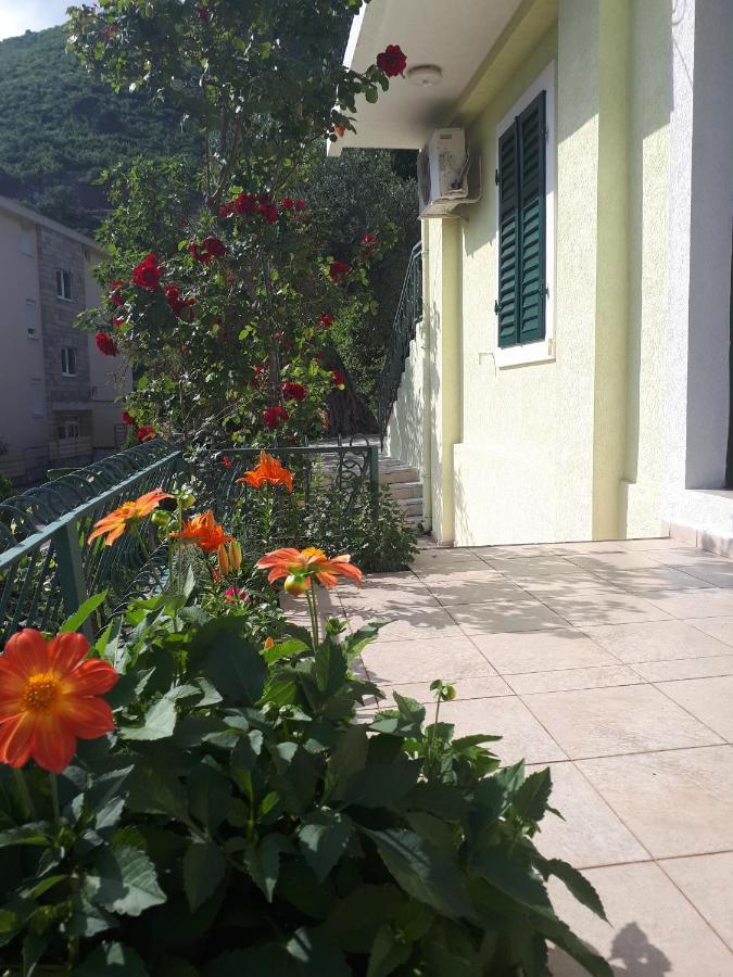 Apartments Simo Petrovac Екстер'єр фото
