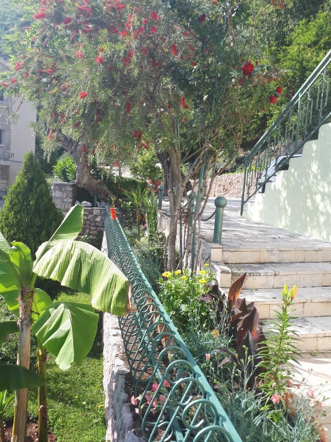 Apartments Simo Petrovac Екстер'єр фото