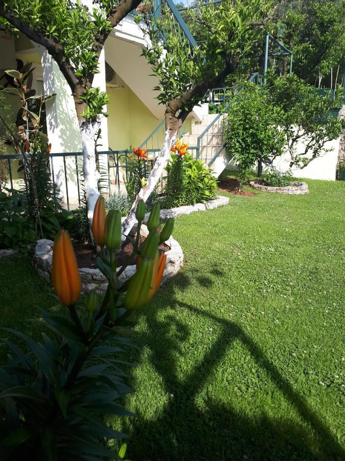 Apartments Simo Petrovac Екстер'єр фото
