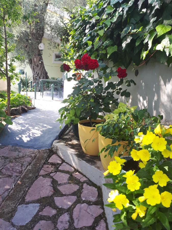 Apartments Simo Petrovac Екстер'єр фото