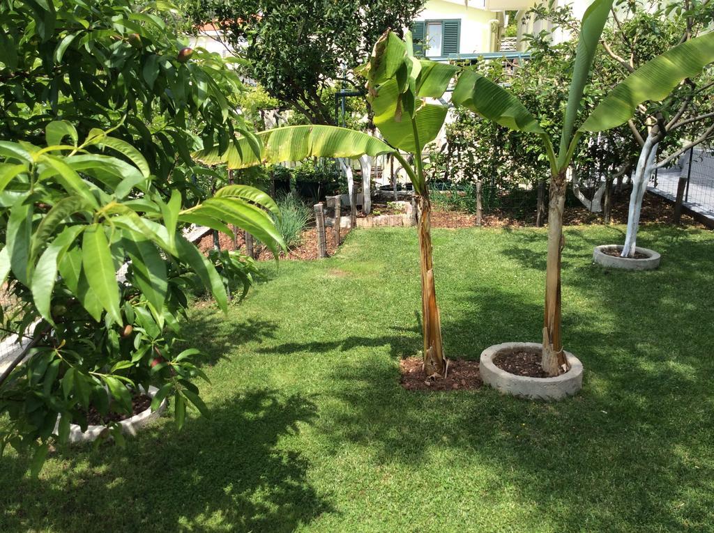 Apartments Simo Petrovac Екстер'єр фото