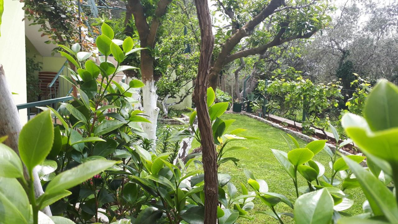 Apartments Simo Petrovac Екстер'єр фото
