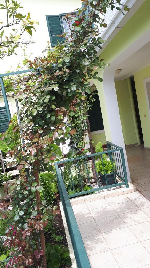 Apartments Simo Petrovac Екстер'єр фото