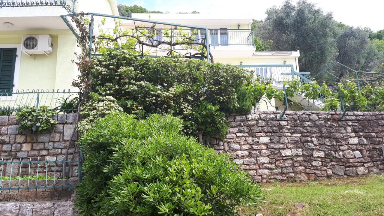 Apartments Simo Petrovac Екстер'єр фото